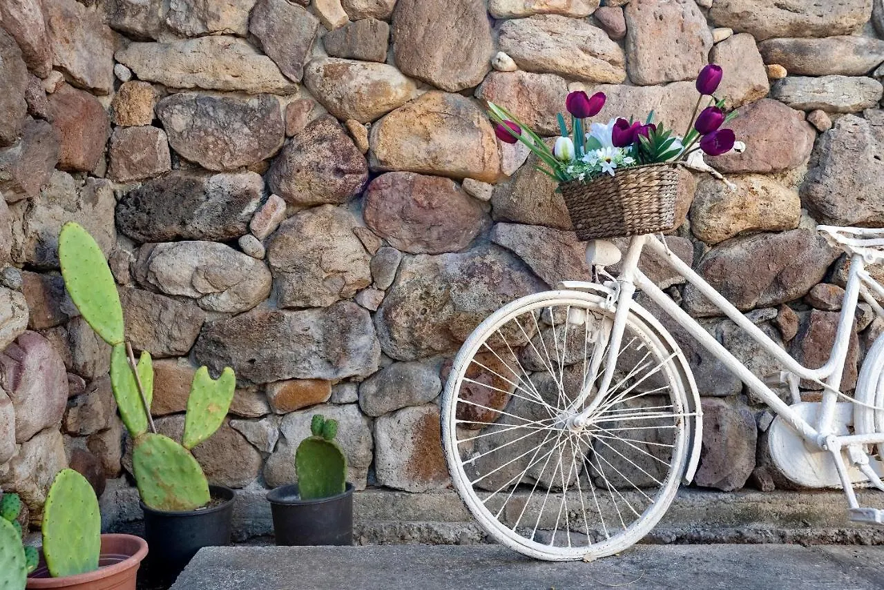 Lu Casal De Fio Apartment Alghero