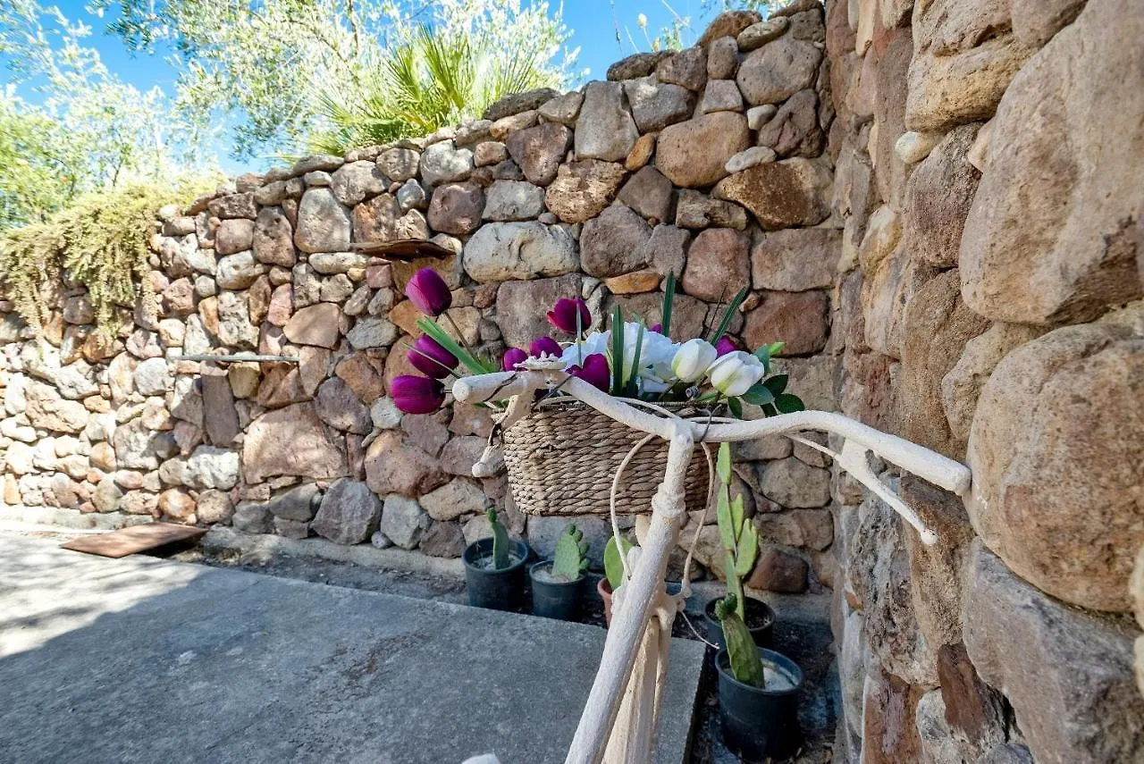 Lu Casal De Fio Apartment Alghero